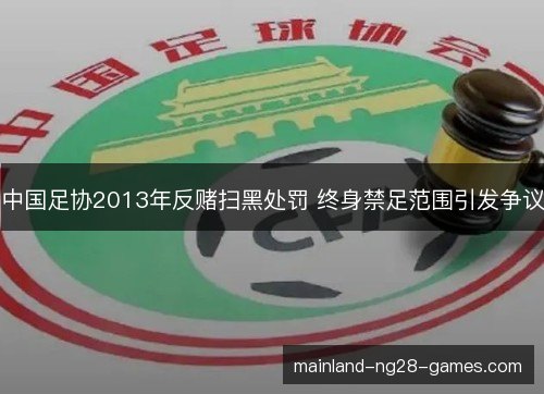 中国足协2013年反赌扫黑处罚 终身禁足范围引发争议